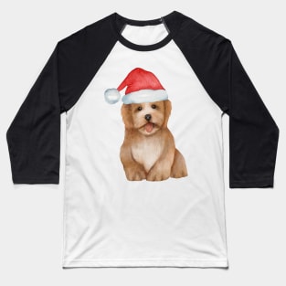 Cute And Lovely Animals With Christmas Baseball T-Shirt